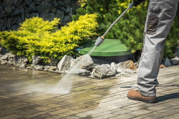 Animal Enclosure Cleaning in Washington, KS